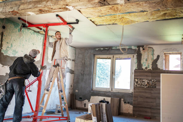 Best Insulation Contractors for Homes  in St James, MO
