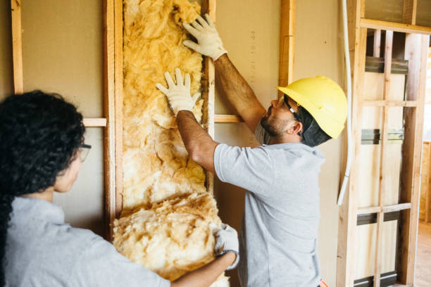Best Insulation Contractor Near Me  in St James, MO